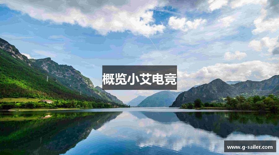 概览小艾电竞